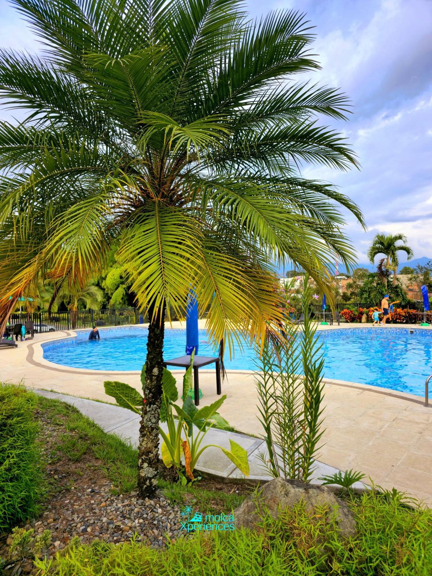 Apartamento Privado Vacacional A 5M Del Aeropuerto, 20 Minutos Del Parque Del Cafe Y Centro De Armenia Con 4 Piscinas, 3 Jacuzzi, Sauna By Molca Xperiences 2H Dış mekan fotoğraf